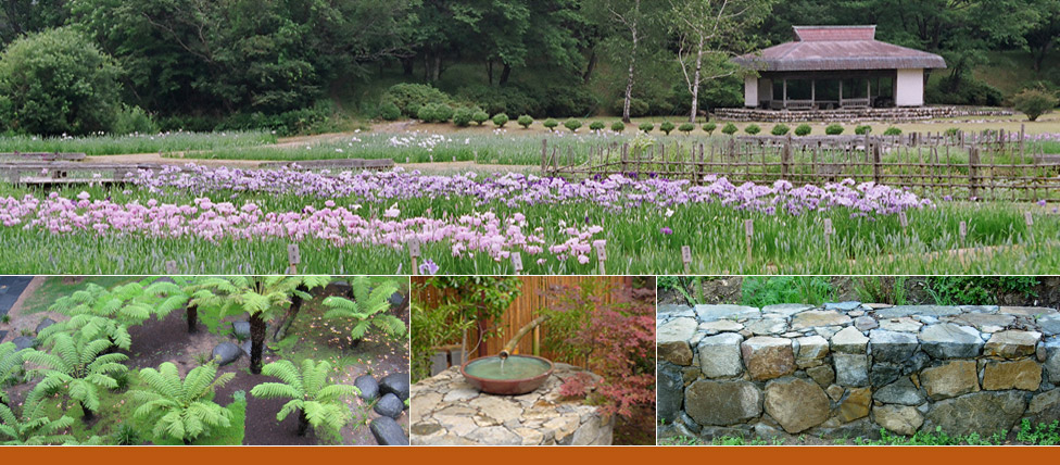 Akita Bonsai Nursery - Home