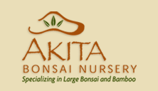 Akita Bonsai Nursery - Specializing in Large Bonsai and Bamboo